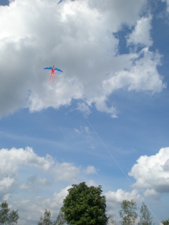 Kite in the air